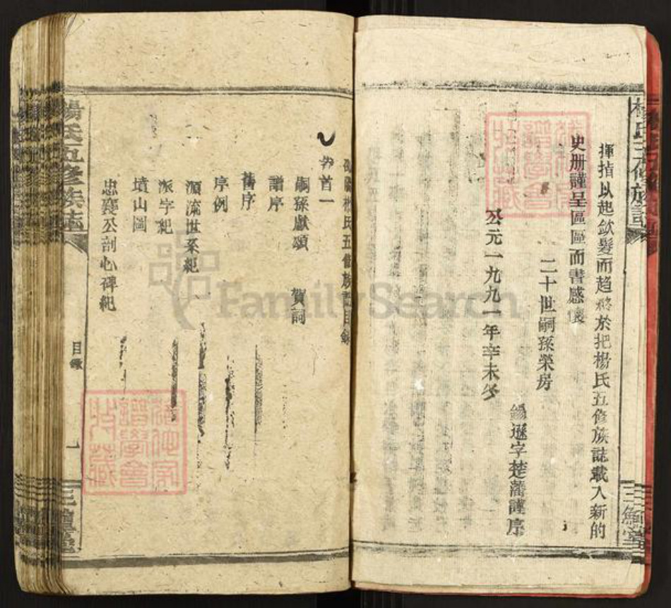 湖南省邵阳市新邵县雀塘镇杨氏三鳣堂族谱-杨氏五修族志.pdf电子版插图5
