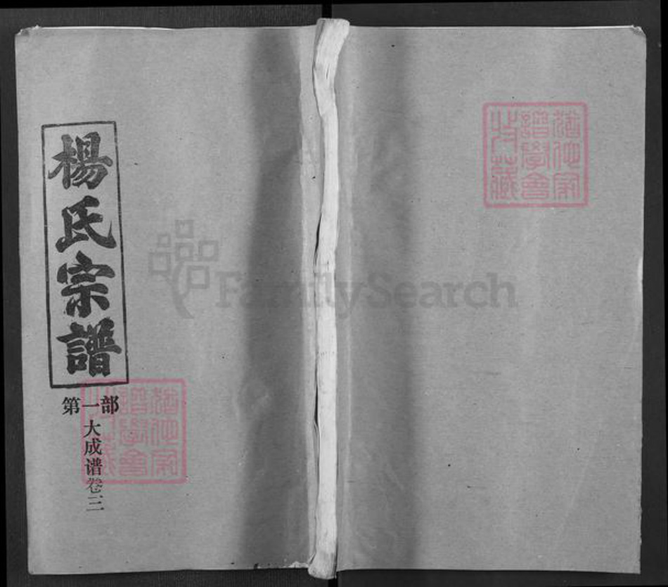 湖北省武汉市新洲区杨氏四知堂族谱-杨氏宗谱.pdf电子版插图
