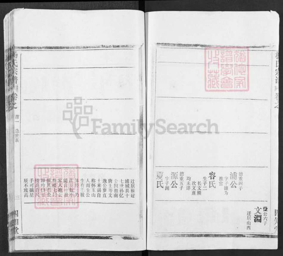 湖北省武汉市新洲区杨氏四知堂族谱-杨氏宗谱.pdf电子版插图3