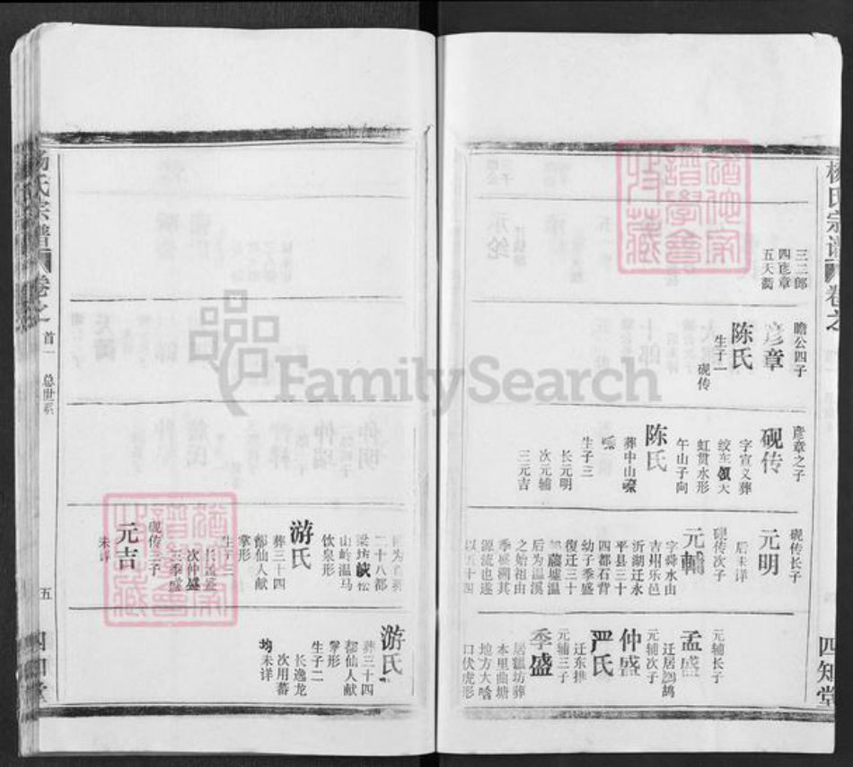 湖北省武汉市新洲区杨氏四知堂族谱-杨氏宗谱.pdf电子版插图5
