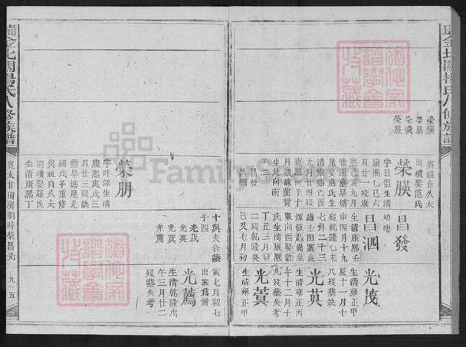江西省赣州市瑞金市杨氏族谱-瑞金北闗杨氏八修族谱.pdf电子版插图2