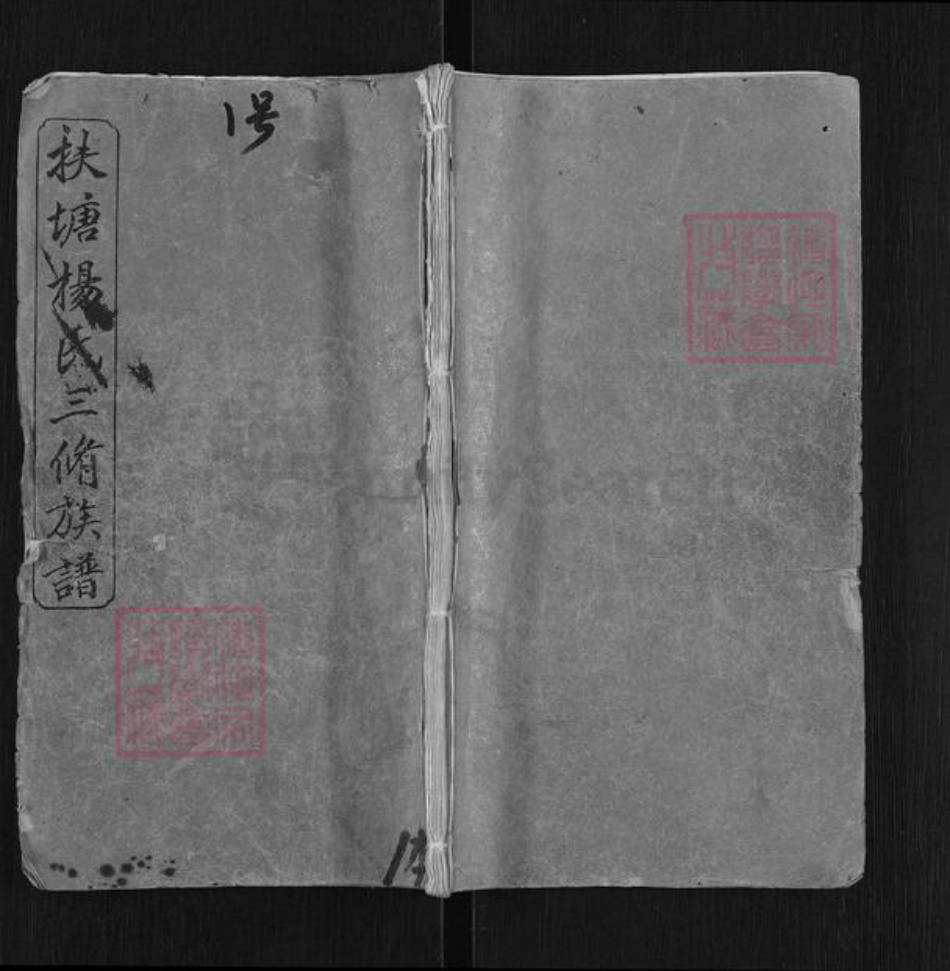湖南省湘潭市湘乡市中沙镇杨氏宏农堂族谱-扶塘杨氏三修族谱.pdf电子版插图