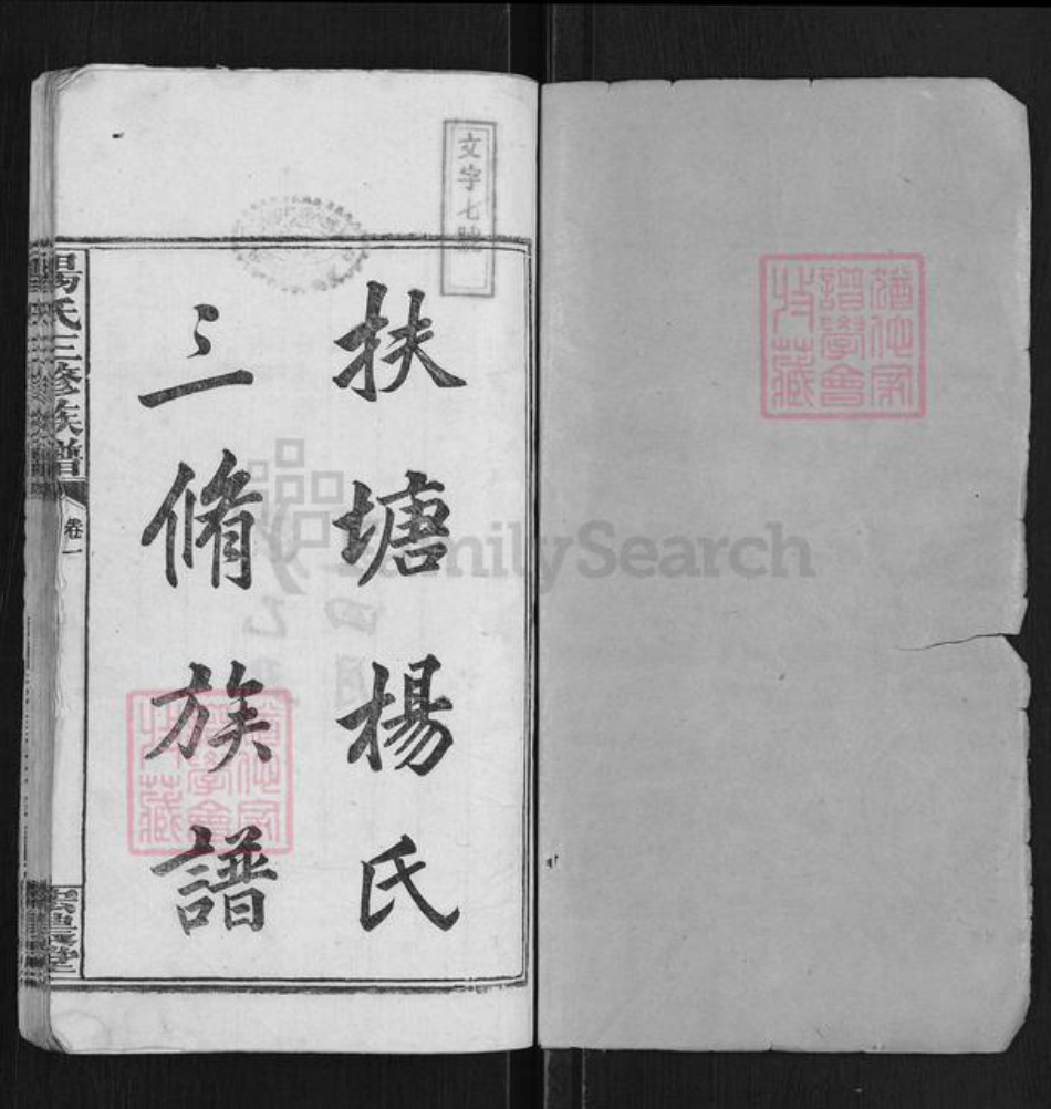湖南省湘潭市湘乡市中沙镇杨氏宏农堂族谱-扶塘杨氏三修族谱.pdf电子版插图1