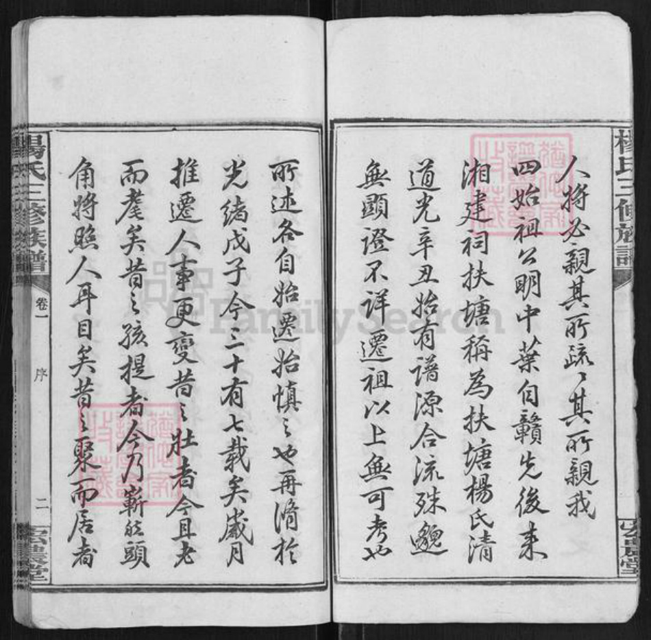 湖南省湘潭市湘乡市中沙镇杨氏宏农堂族谱-扶塘杨氏三修族谱.pdf电子版插图5