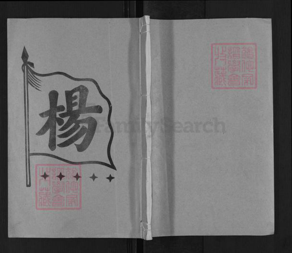 湖南省娄底市新化县槎溪镇杨氏族谱-杨氏八修族谱.pdf电子版插图