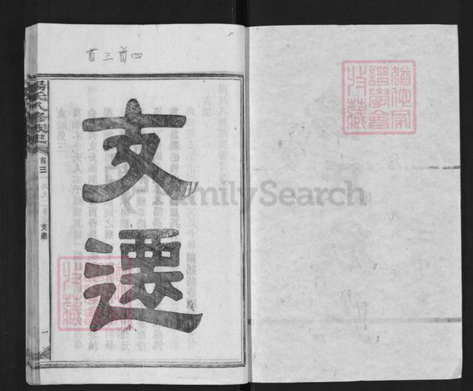 湖南省娄底市新化县槎溪镇杨氏族谱-杨氏八修族谱.pdf电子版插图1