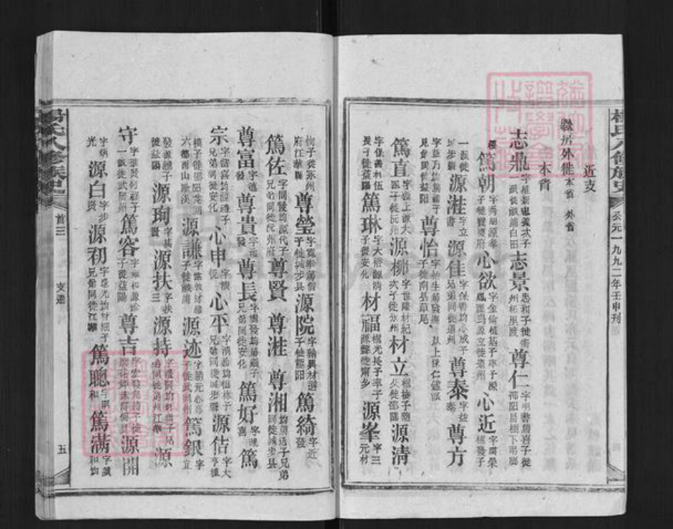 湖南省娄底市新化县槎溪镇杨氏族谱-杨氏八修族谱.pdf电子版插图5