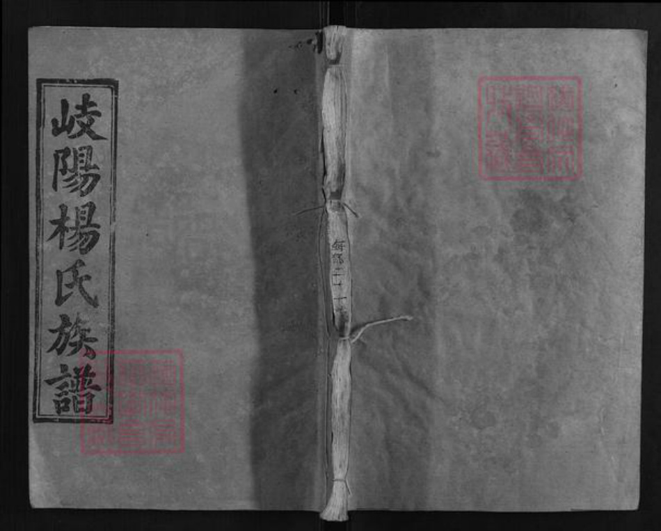 江西省宜春市万载县江西省宜春市万载县杨氏三囍堂族谱-岐阳杨氏族谱.pdf电子版插图
