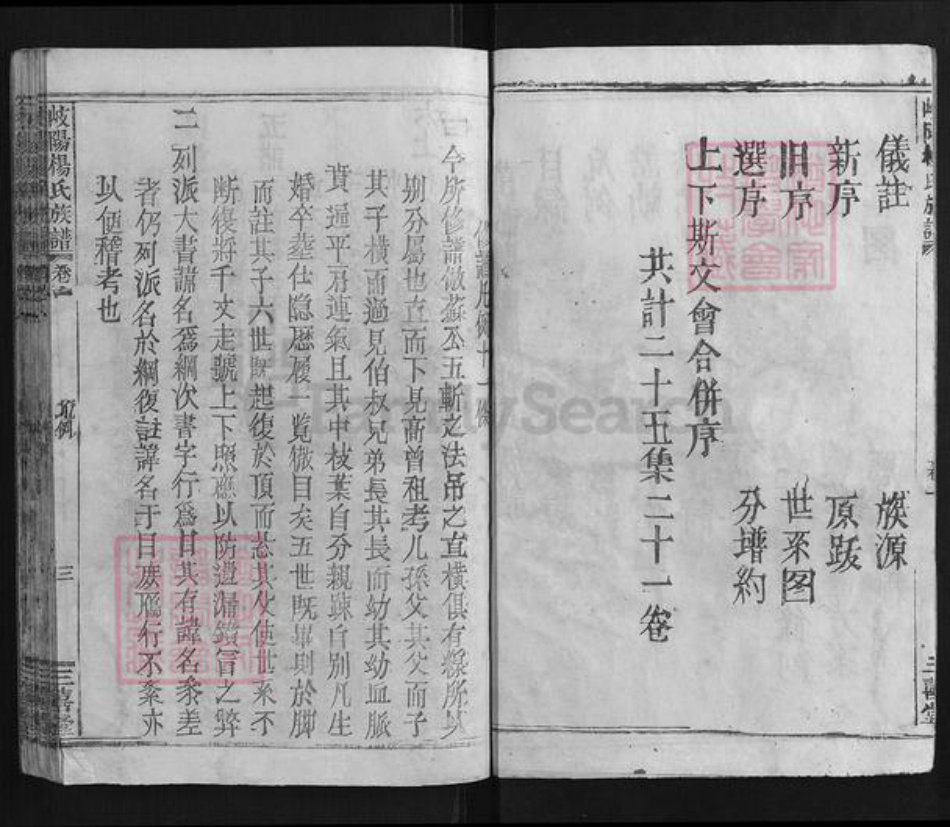 江西省宜春市万载县江西省宜春市万载县杨氏三囍堂族谱-岐阳杨氏族谱.pdf电子版插图2