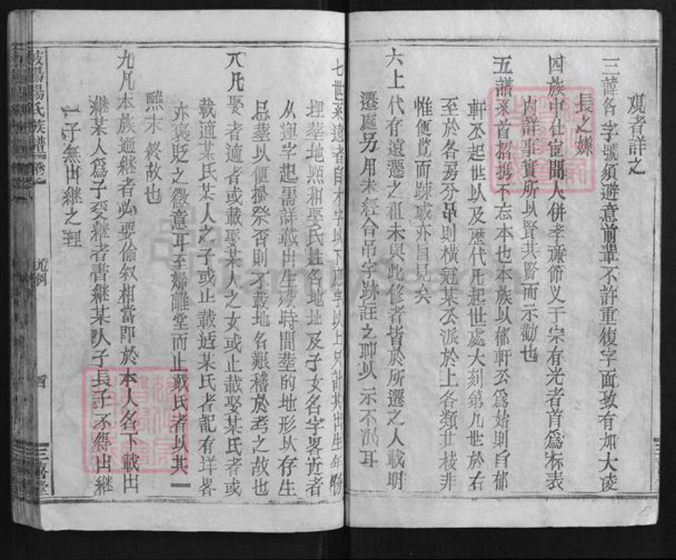 江西省宜春市万载县江西省宜春市万载县杨氏三囍堂族谱-岐阳杨氏族谱.pdf电子版插图3