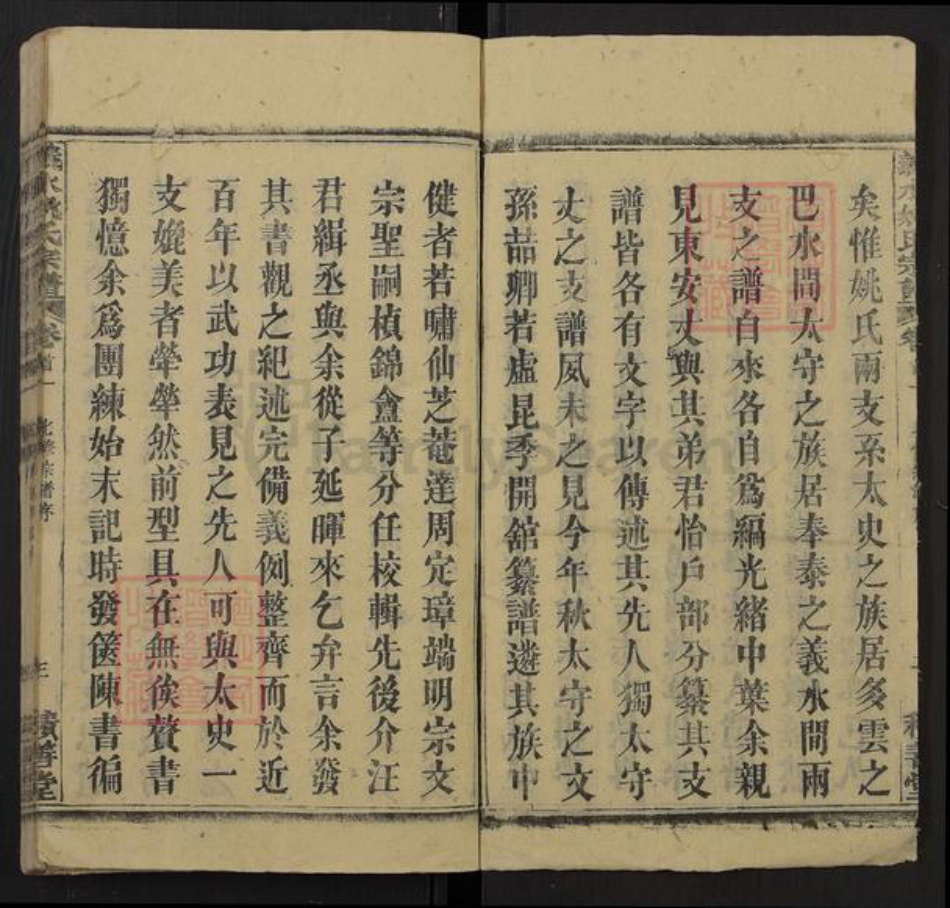 湖北省黄冈市罗田县匡河镇姚氏积善堂族谱-义水姚氏宗谱.pdf电子版插图2