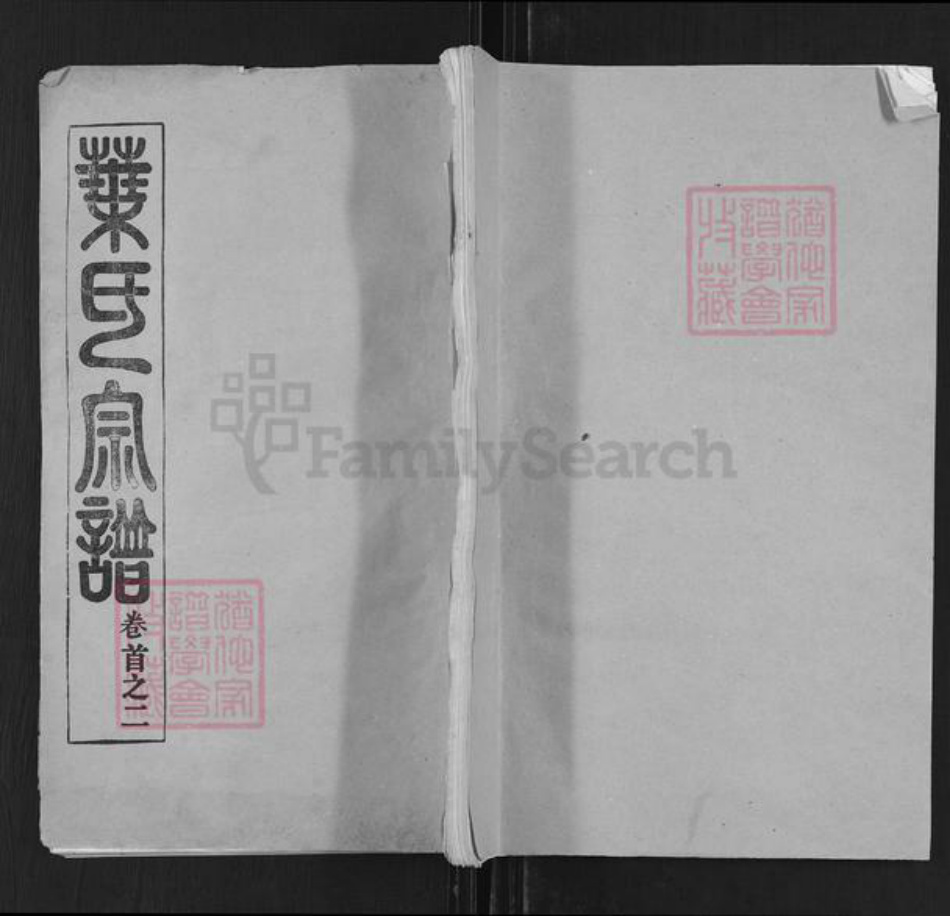 湖北省黄冈市罗田县凤山镇叶氏山斗堂族谱-叶氏宗谱.pdf电子版插图