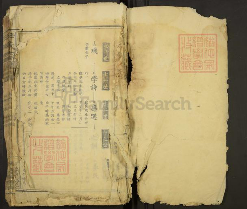 湖北省黄石市大冶市尹氏四叶堂族谱-尹氏宗谱.pdf电子版插图1