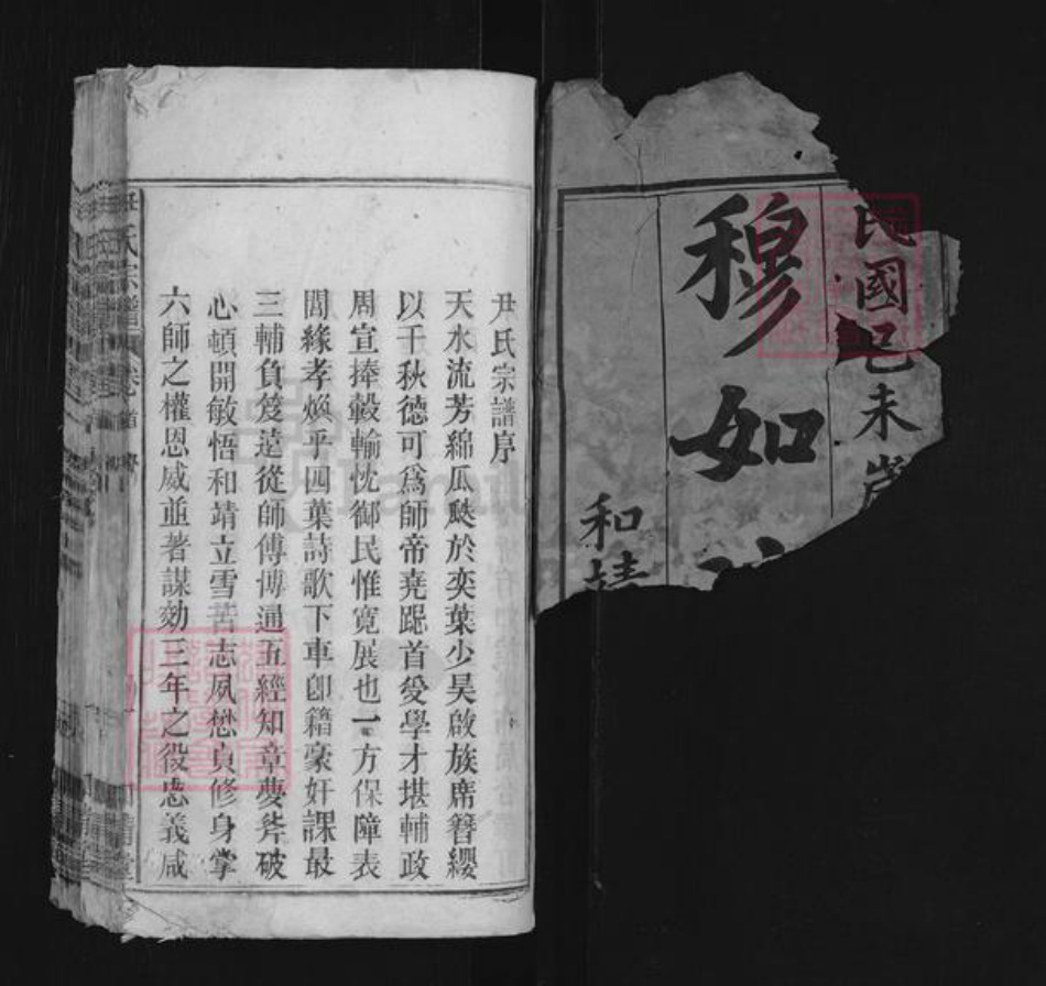 安徽省安庆市宿松县二郎镇尹氏和靖堂族谱-尹氏宗谱.pdf电子版插图1