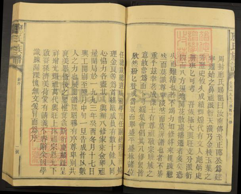 福建省三明市建宁县应氏族谱-应氏族谱.pdf电子版插图2