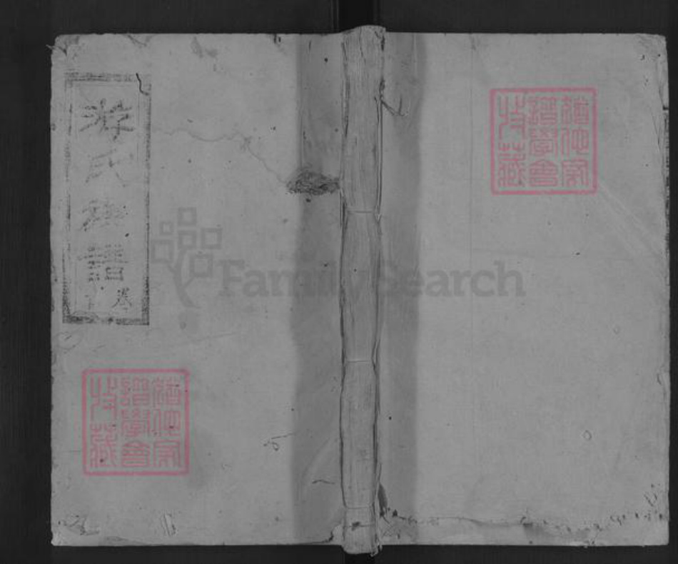 湖南省邵阳市隆回县游氏族谱-邵阳游氏族谱.pdf电子版插图