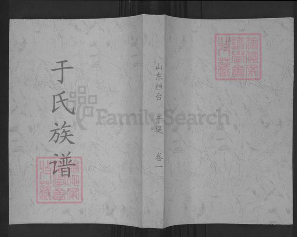 山东省淄博市桓台县唐山镇于氏族谱-于氏族谱.pdf电子版插图
