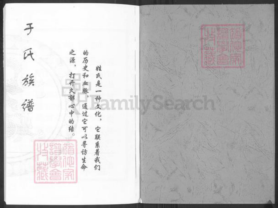 山东省淄博市桓台县唐山镇于氏族谱-于氏族谱.pdf电子版插图1