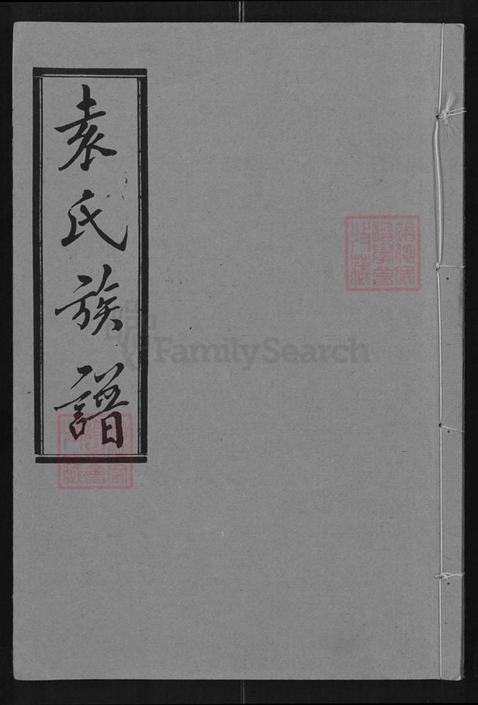 浙江省嘉兴市南湖区南湖街道袁氏汝南堂族谱-袁氏族谱.pdf电子版插图