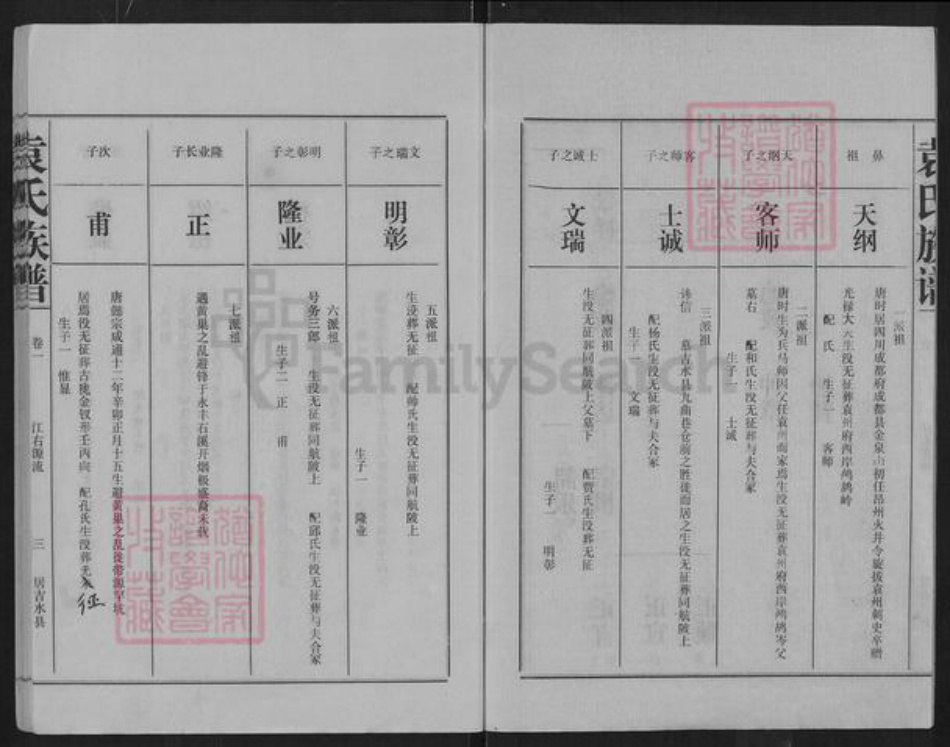 浙江省嘉兴市南湖区南湖街道袁氏汝南堂族谱-袁氏族谱.pdf电子版插图3