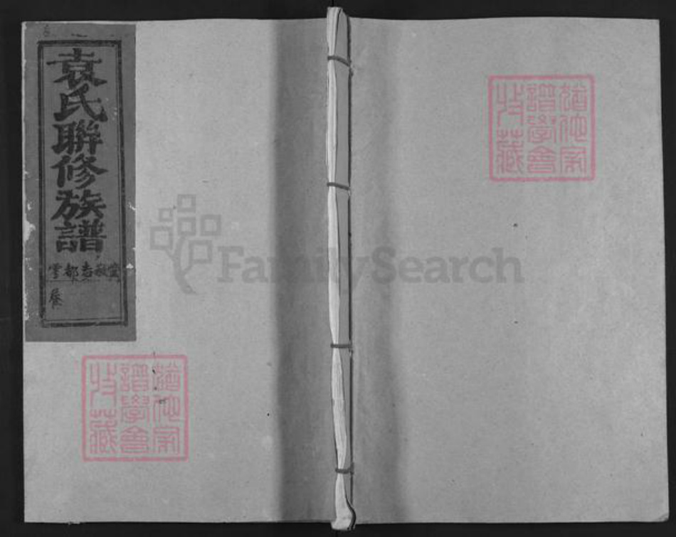 江西省吉安市泰和市袁氏汝南堂族谱-瑞雩宁会兴袁氏联族谱.pdf电子版插图
