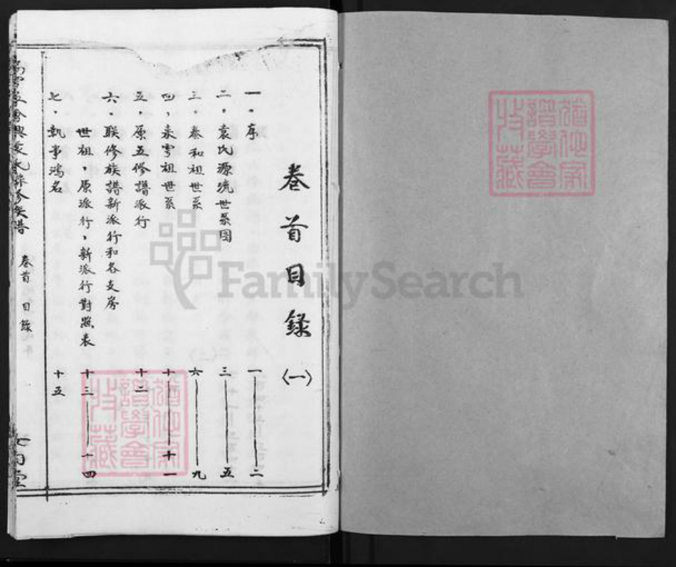 江西省吉安市泰和市袁氏汝南堂族谱-瑞雩宁会兴袁氏联族谱.pdf电子版插图1
