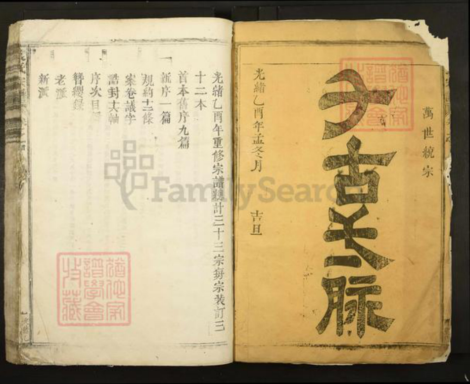 江西省九江市都昌县袁氏族谱-袁氏宗谱.pdf电子版插图1