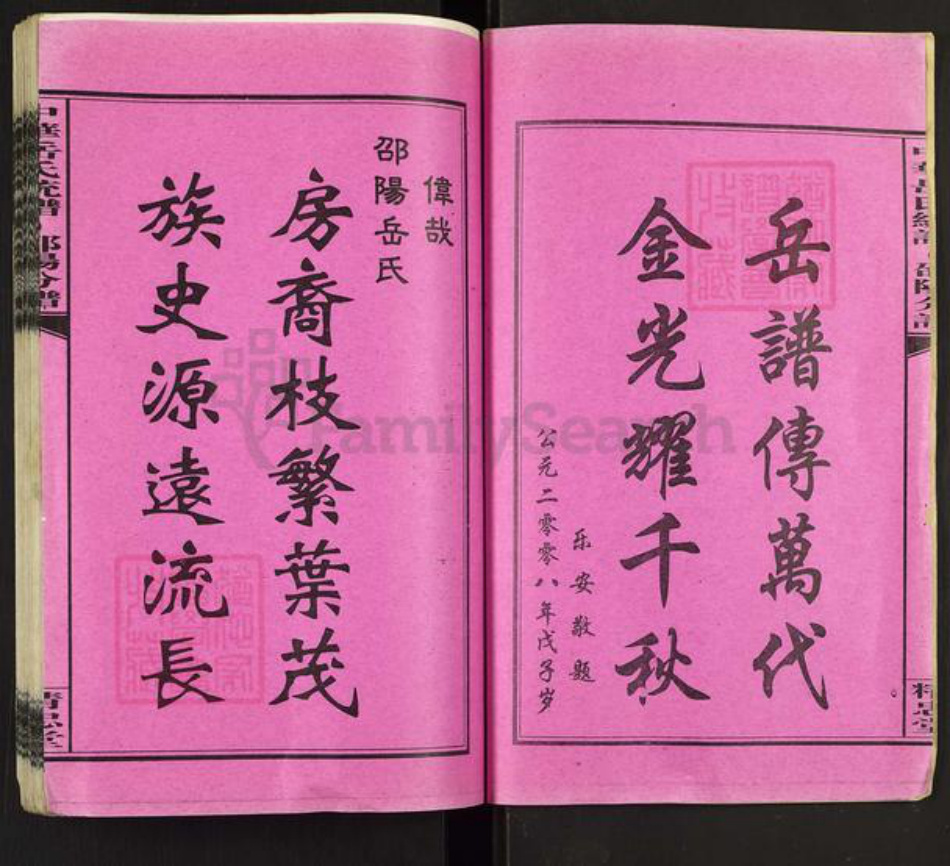 湖南省邵阳市岳氏精忠堂族谱-中华岳氏统谱.邵阳分谱.pdf电子版插图2