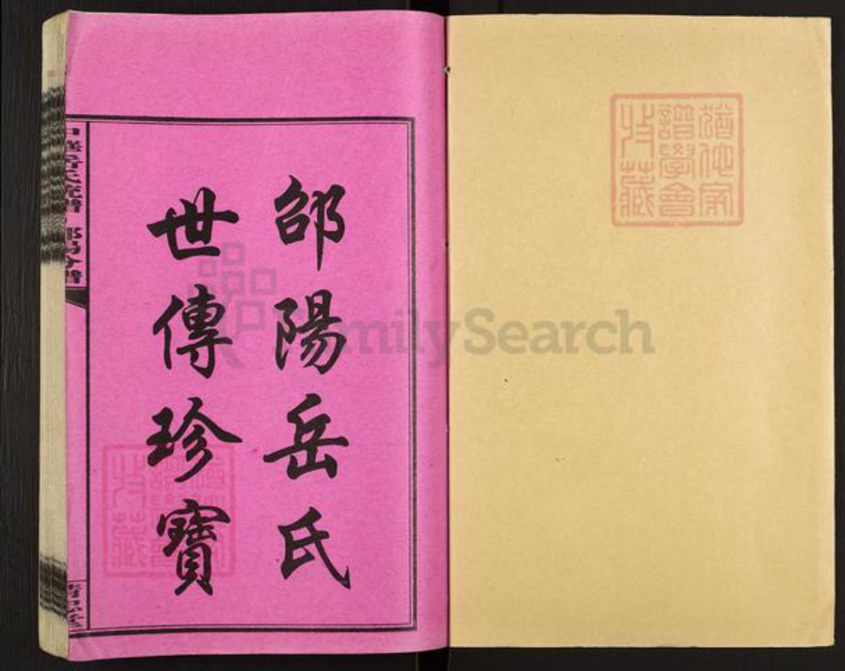 湖南省邵阳市岳氏精忠堂族谱-中华岳氏统谱邵阳分谱.pdf电子版插图1