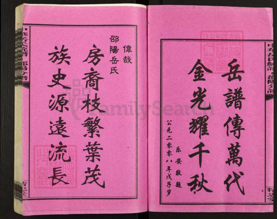 湖南省邵阳市岳氏精忠堂族谱-中华岳氏统谱邵阳分谱.pdf电子版插图2