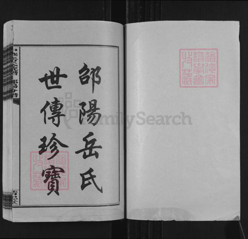 湖南省邵阳市岳氏精忠堂族谱-中华岳氏统谱邵阳分谱.pdf电子版插图1