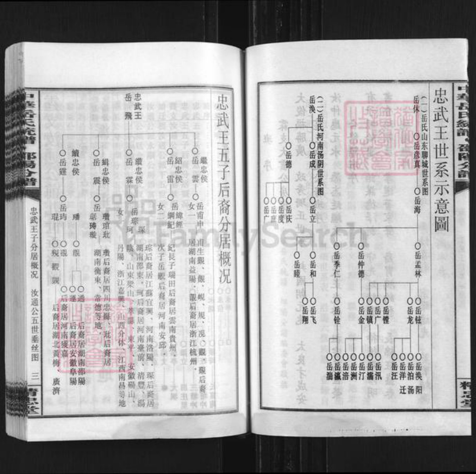 湖南省邵阳市岳氏精忠堂族谱-中华岳氏统谱邵阳分谱.pdf电子版插图5