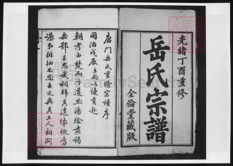 江苏省无锡市宜兴市周铁镇岳氏族谱-唐门岳氏宗谱.pdf电子版插图2