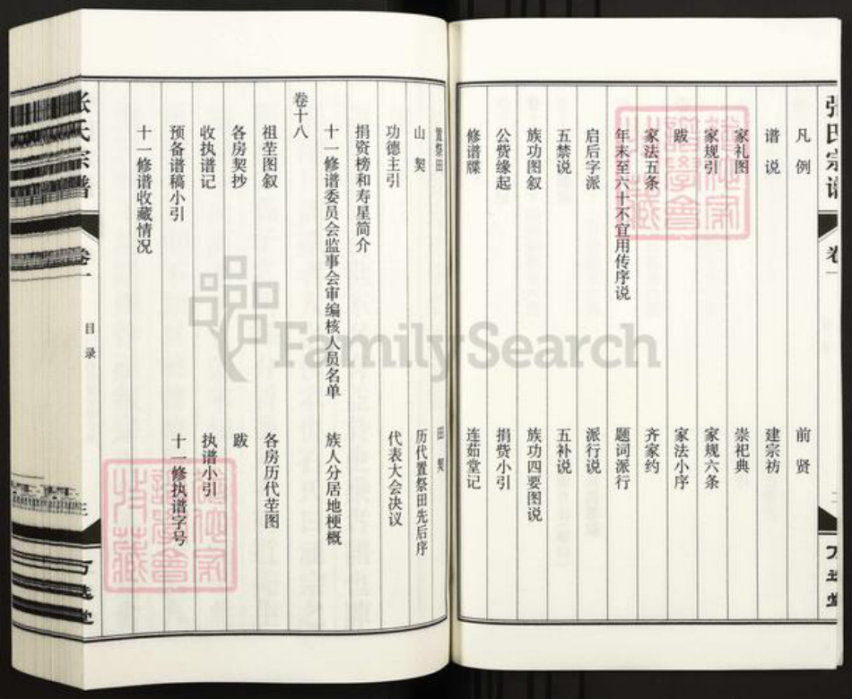 安徽省合肥市庐江县张氏万选堂族谱-潜川张氏宗谱.pdf电子版插图4
