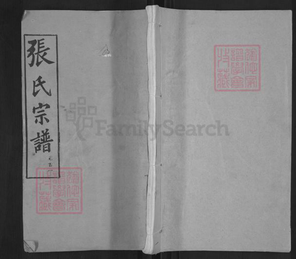 湖北省鄂州市华容区华容镇张氏忠孝堂族谱-张氏宗谱.pdf电子版插图