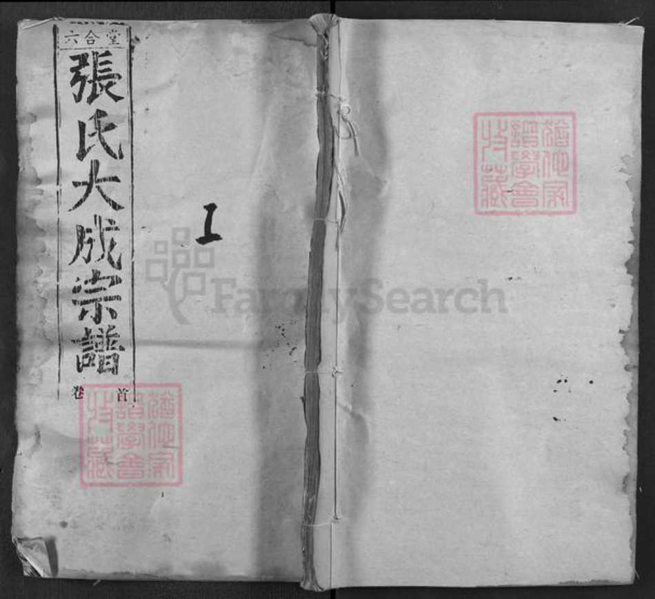 湖北省黄冈市浠水县竹瓦镇张氏六合堂族谱-张氏大成宗谱.pdf电子版插图