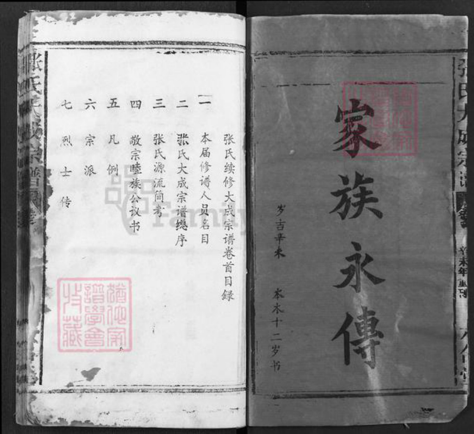 湖北省黄冈市浠水县竹瓦镇张氏六合堂族谱-张氏大成宗谱.pdf电子版插图1