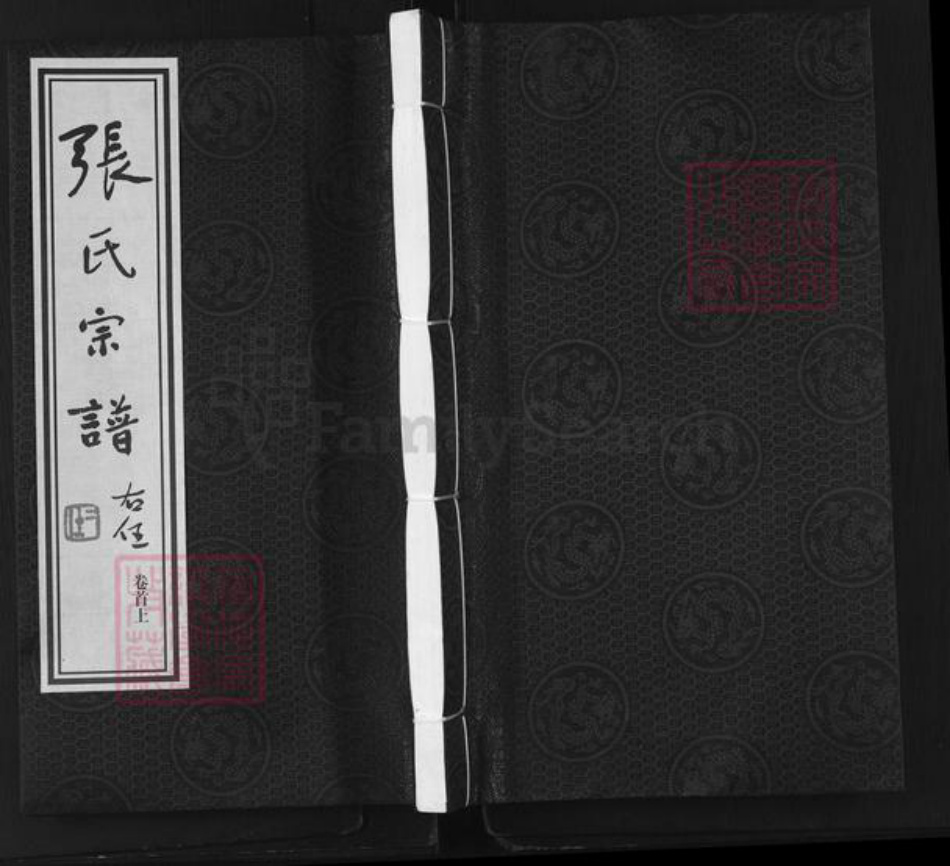 江苏省常州市张氏世恩堂族谱-张氏宗谱.pdf电子版插图