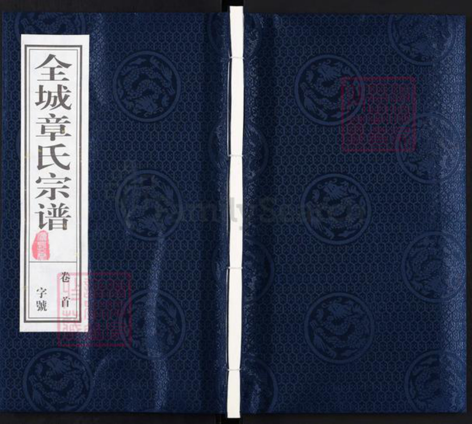 安徽省安庆市桐城市章氏族谱-全城章氏宗谱[28卷首1卷末1卷].pdf电子版插图