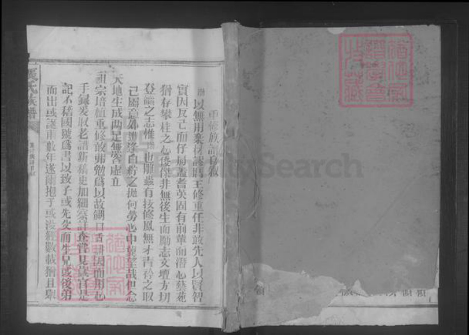 福建省龙岩市上杭县张氏族谱-张氏族谱 [22本].pdf电子版插图
