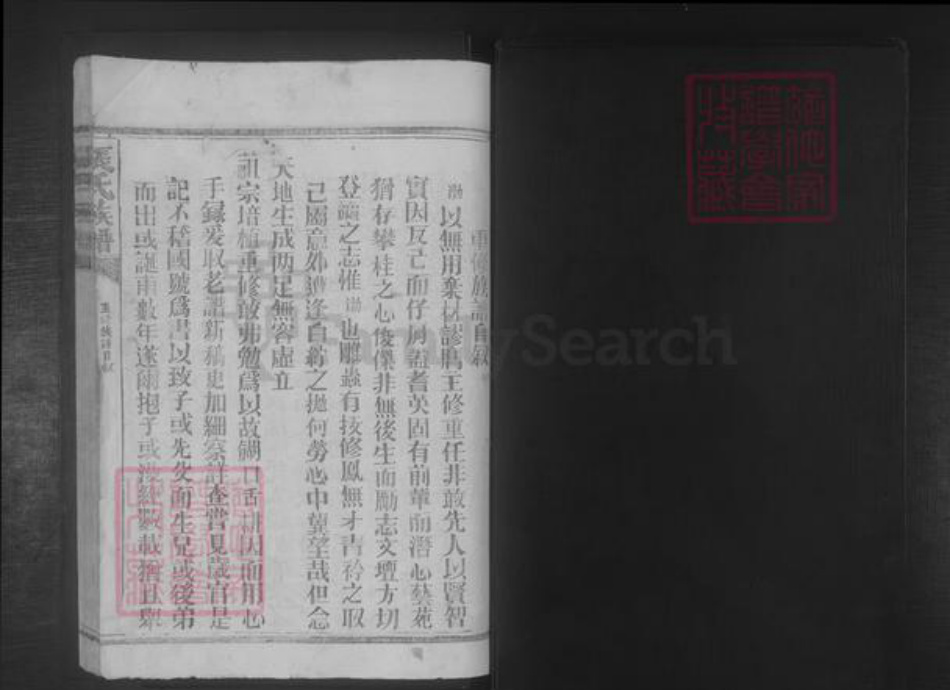福建省龙岩市上杭县张氏族谱-张氏族谱 [22本].pdf电子版插图1