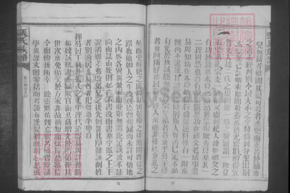 福建省龙岩市上杭县张氏族谱-张氏族谱 [22本].pdf电子版插图2