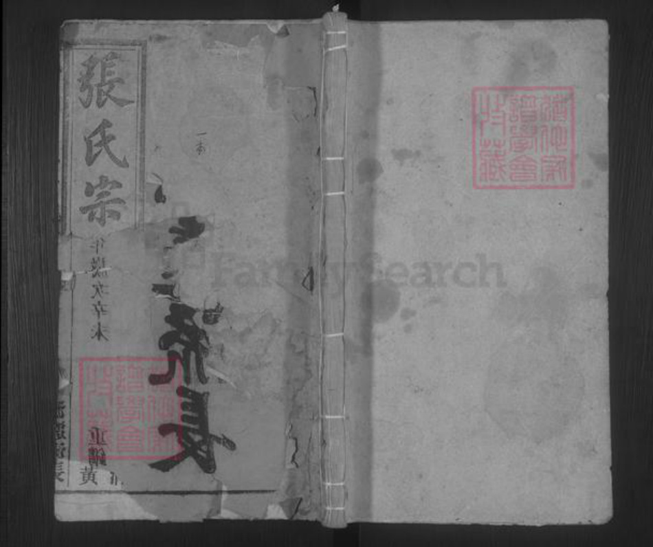 安徽省安庆市桐城市张氏族谱-张氏宗谱 [33卷,末2卷].pdf电子版插图