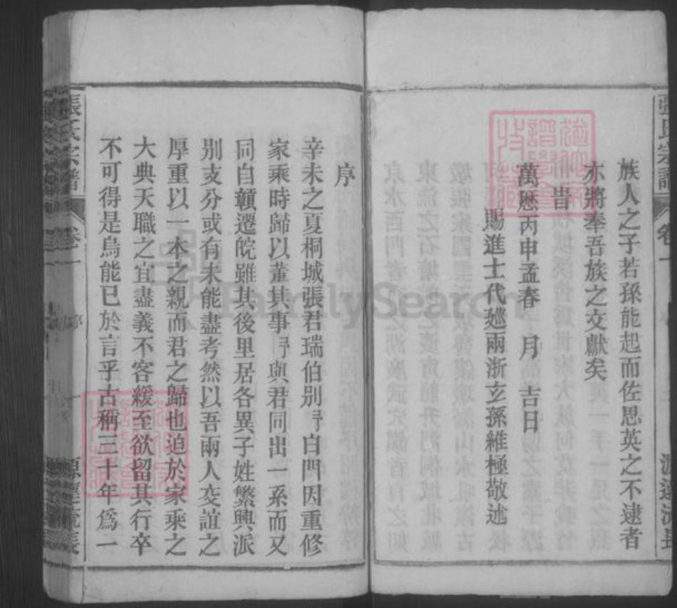 安徽省安庆市桐城市张氏族谱-张氏宗谱 [33卷,末2卷].pdf电子版插图3