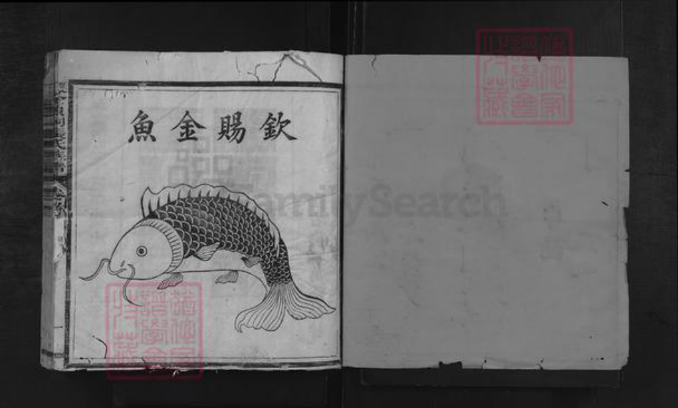 福建省三明市沙县夏茂镇张氏族谱-夏茂金鱼祠张氏族谱.pdf电子版插图1