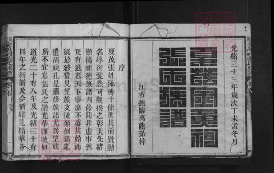 福建省三明市沙县夏茂镇张氏族谱-夏茂金鱼祠张氏族谱.pdf电子版插图2