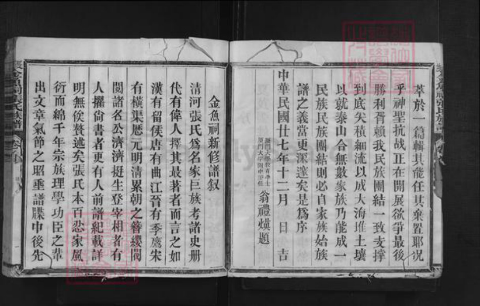 福建省三明市沙县夏茂镇张氏族谱-夏茂金鱼祠张氏族谱.pdf电子版插图3