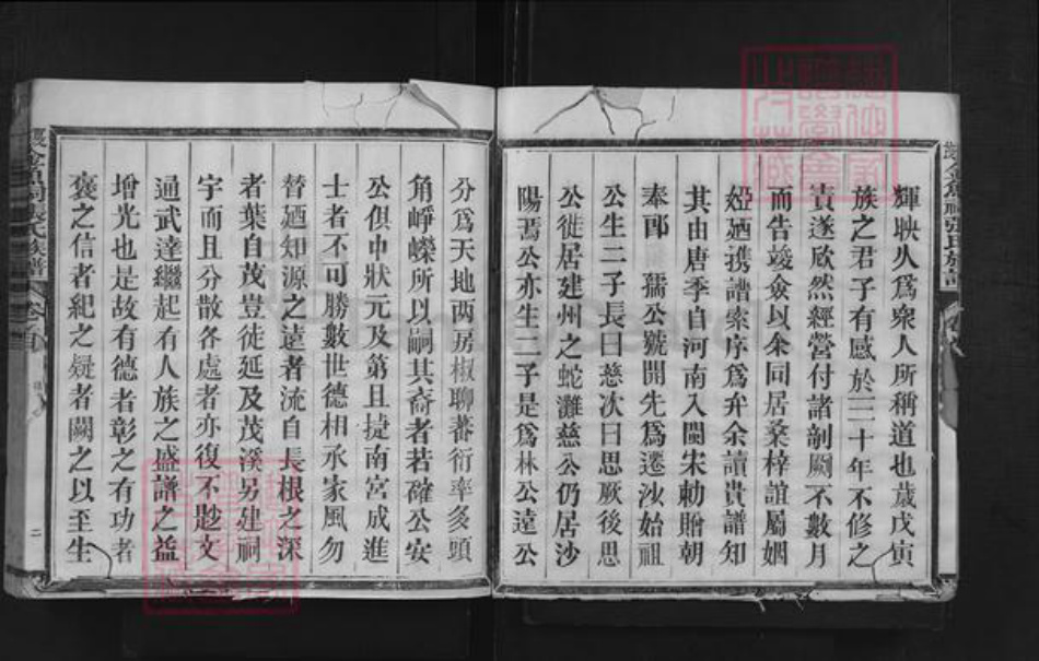福建省三明市沙县夏茂镇张氏族谱-夏茂金鱼祠张氏族谱.pdf电子版插图4