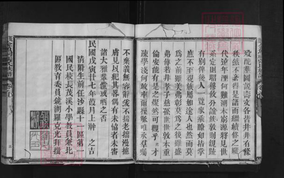 福建省三明市沙县夏茂镇张氏族谱-夏茂金鱼祠张氏族谱.pdf电子版插图5