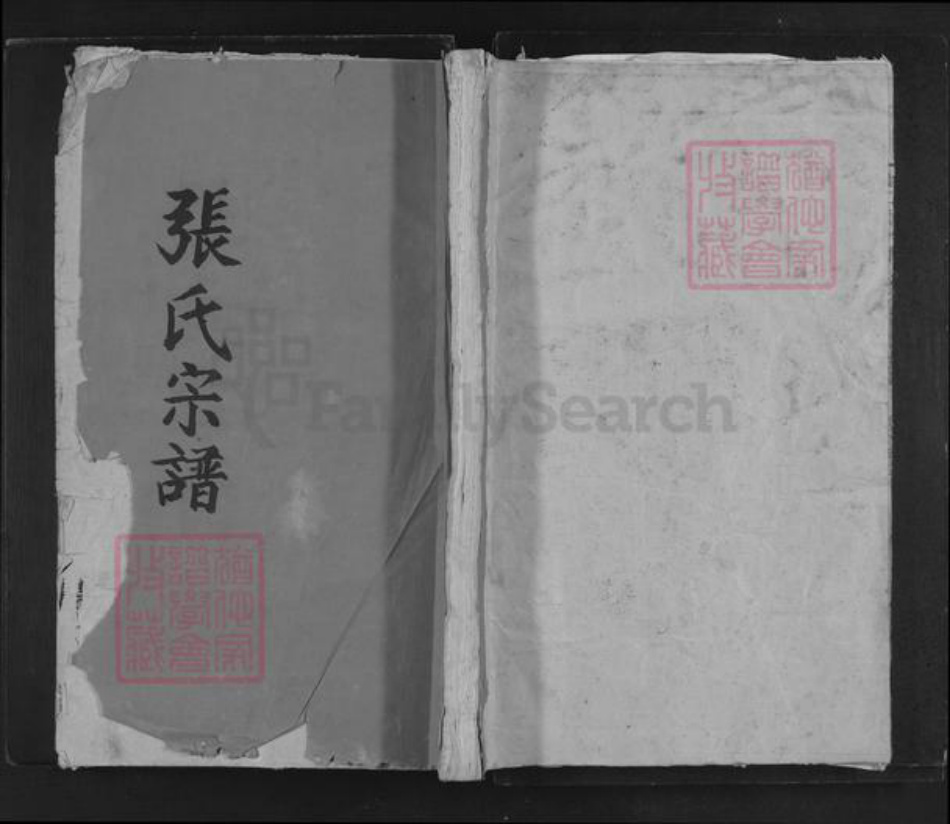 湖北省黄冈市黄梅县分路镇张氏孝友堂族谱-九江封一乡张氏宗谱.pdf电子版插图